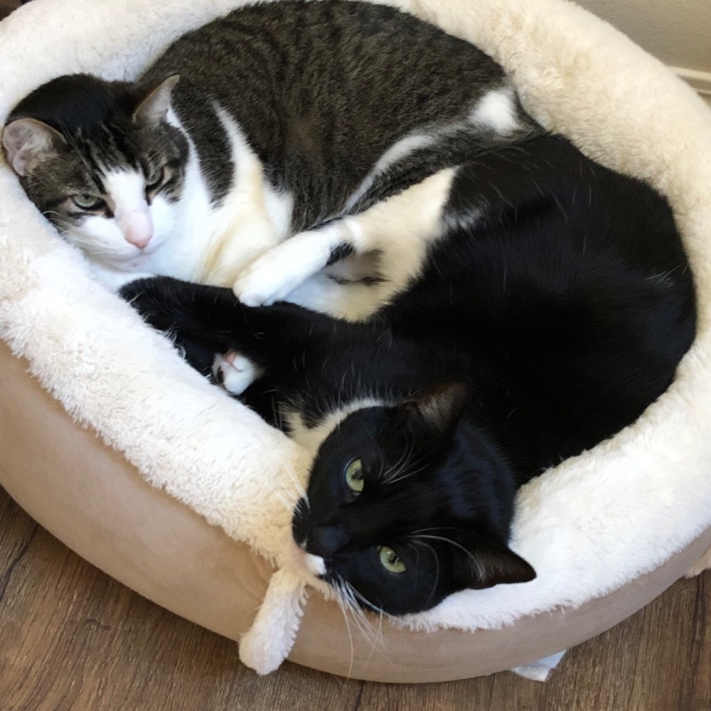 Meet your Posher, Omar